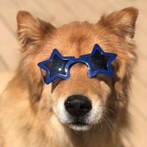 Meet your Posher, Meg